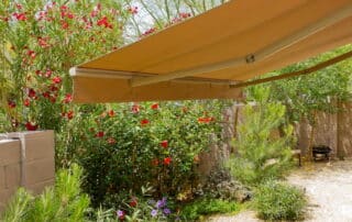 Backyard with awning and lush greenery
