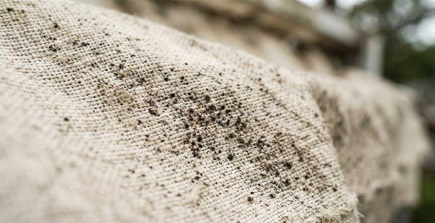 mildew speckling on acrylic awning fabric close-up